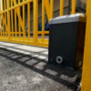 Bison 25 en portón