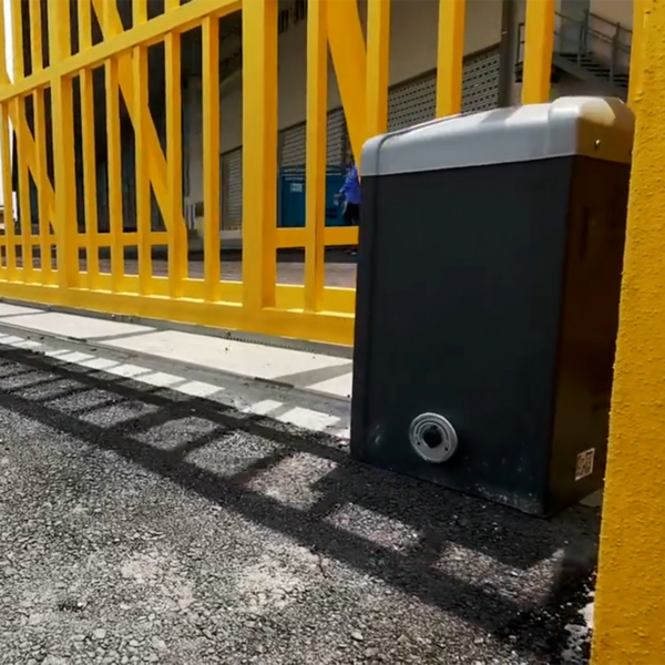 Bison 25 en portón